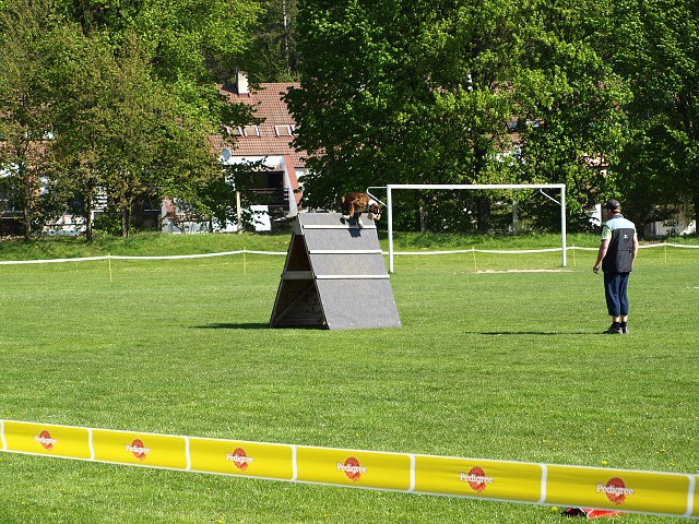www.atibox.net * www.euroboxer.eu * www.boxergenealogia.eu